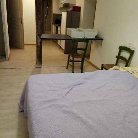 Studio Saint Pierre Вік-Фезенсак Екстер'єр фото