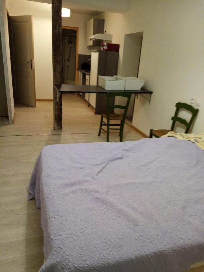 Studio Saint Pierre Вік-Фезенсак Екстер'єр фото